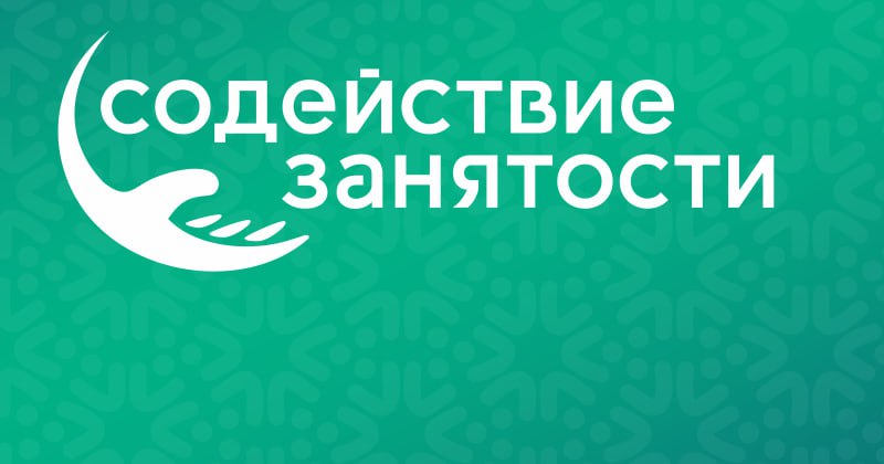 Прием заявок на участие в реализации федпроекта «Активные меры содействия занятости» завершится 16 января