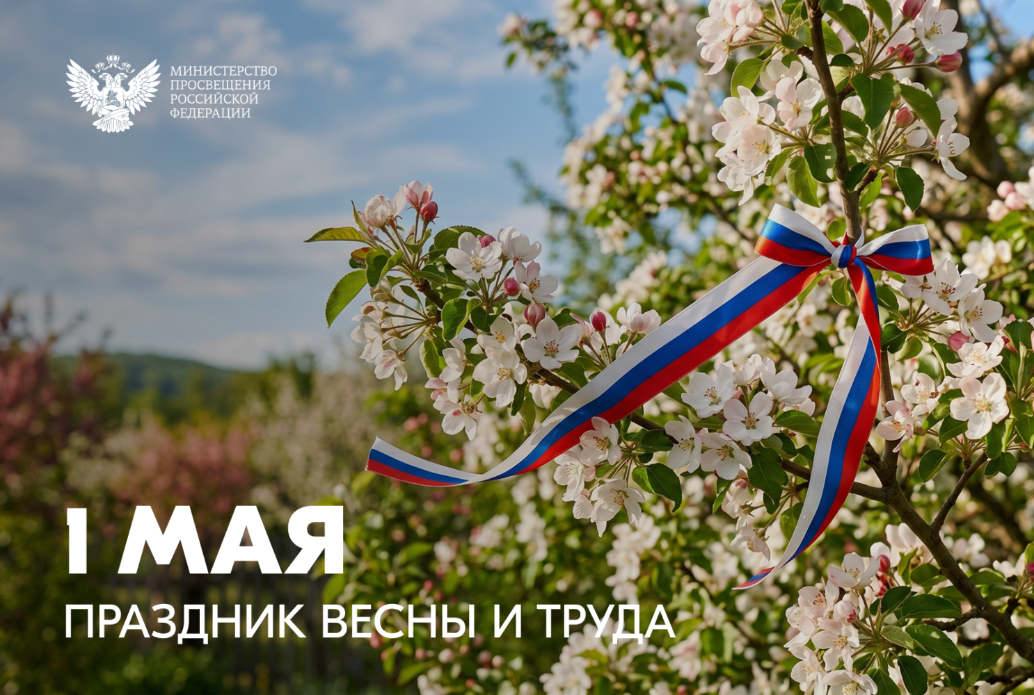Поздравление Министра просвещения Российской Федерации с 1 Мая