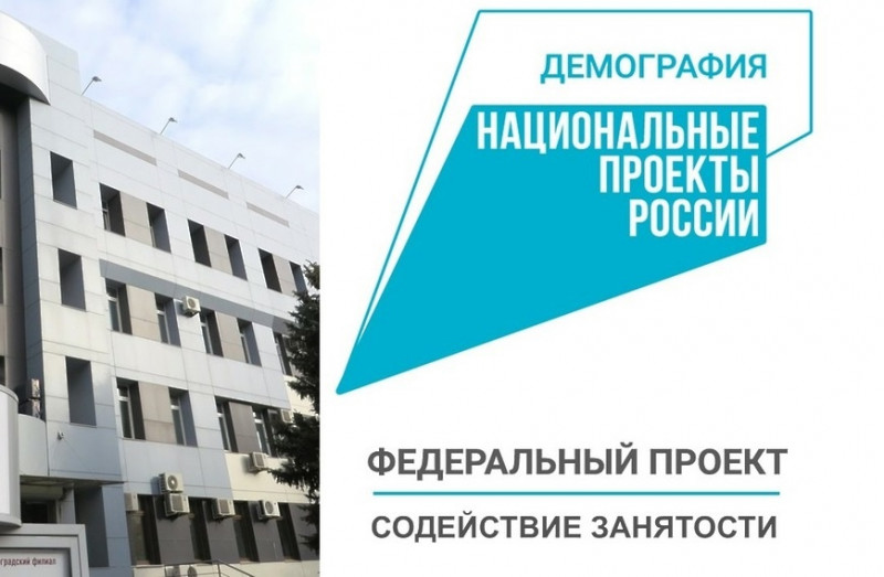 Результаты предварительного квалификационного отбора организаций, осуществляющих образовательную деятельность в субъектах Российской Федерации, и перечня образовательных программ, востребованных в субъектах Российской Федерации