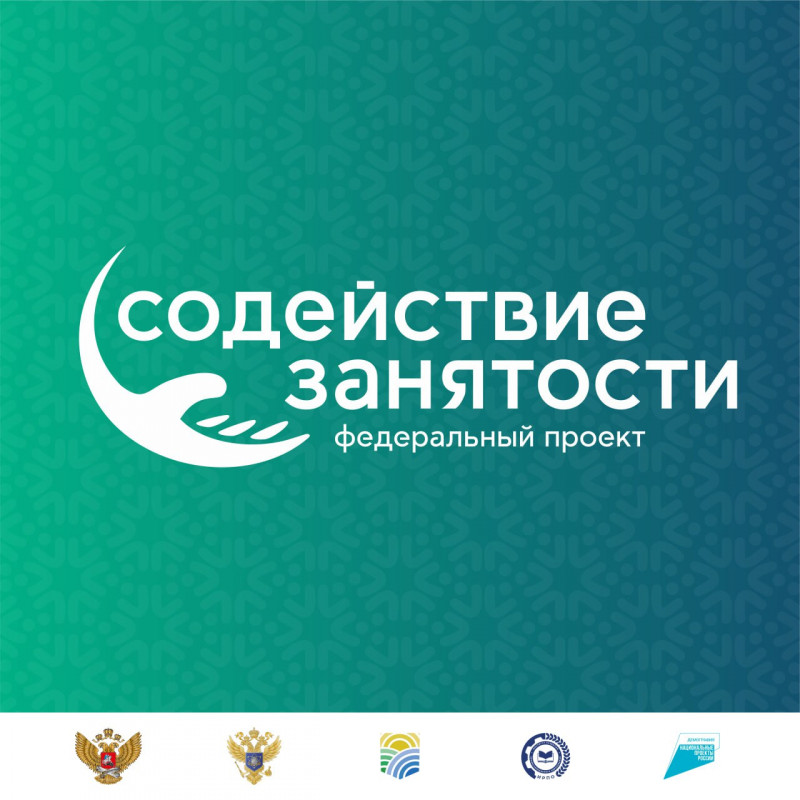 Федеральный проект «Содействие занятости»