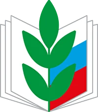 Организатор 5